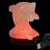 Crafted USB Dolphin Salt Lamp with Multi Color LED